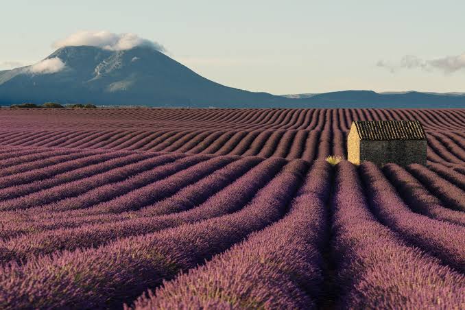Mejor Época para Visitar Francia: París, Provenza & Guía de Clima Regional